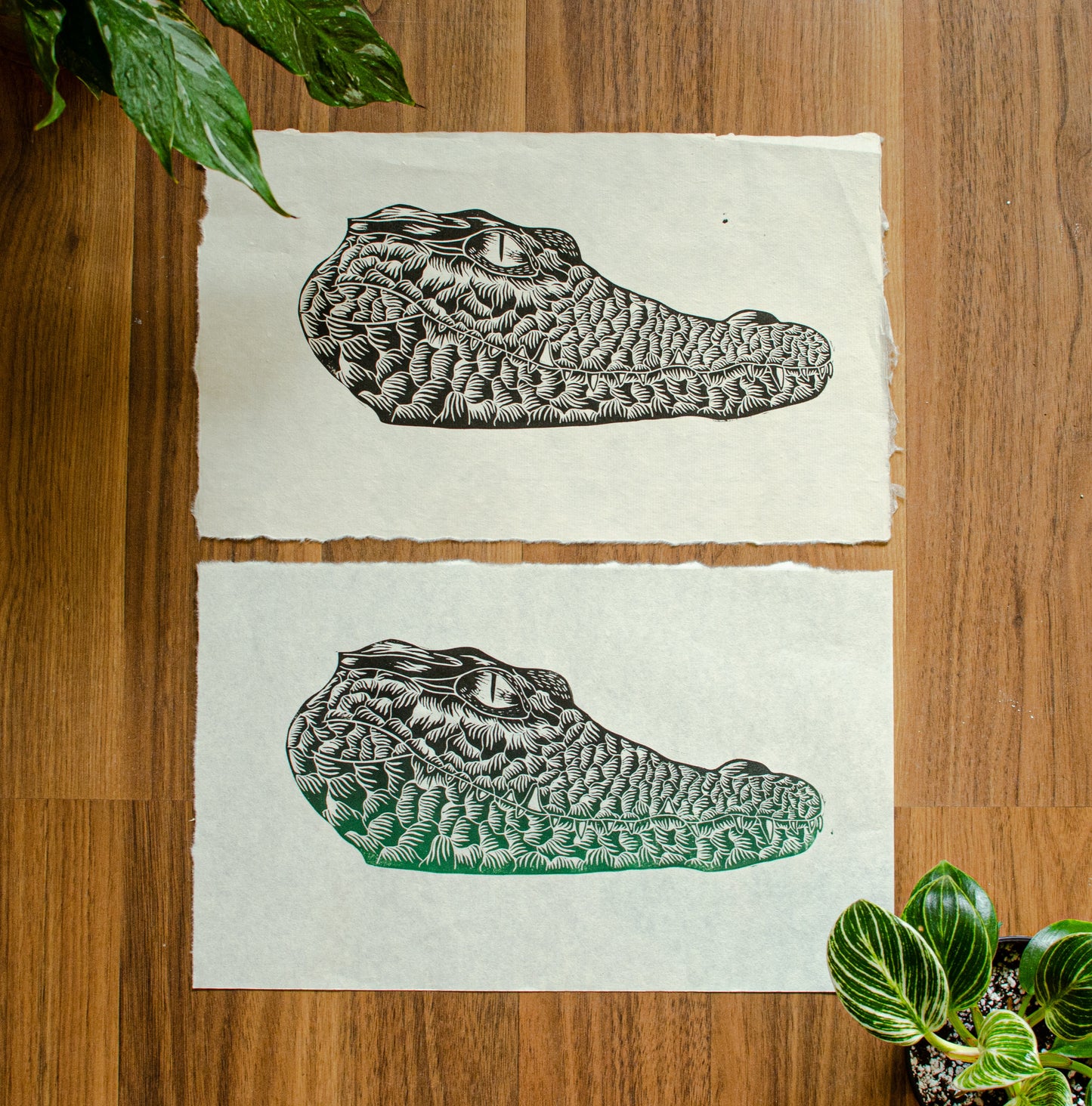 Crocodile Head Print